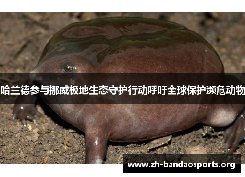 哈兰德参与挪威极地生态守护行动呼吁全球保护濒危动物