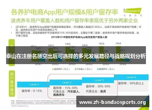 泰山在注册名额空出后可选择的多元发展路径与战略规划分析