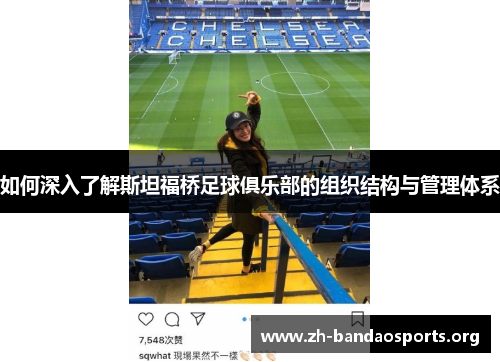 如何深入了解斯坦福桥足球俱乐部的组织结构与管理体系