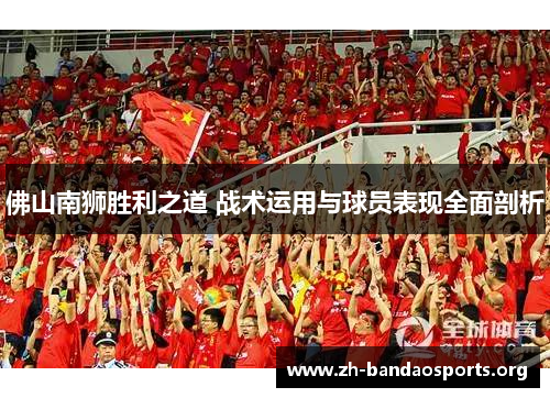 佛山南狮胜利之道 战术运用与球员表现全面剖析