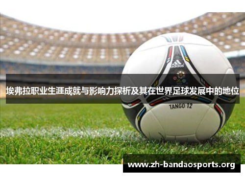 埃弗拉职业生涯成就与影响力探析及其在世界足球发展中的地位