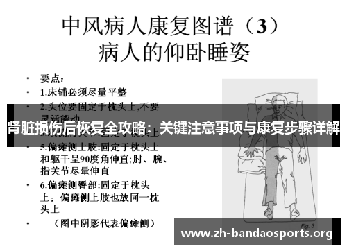 肾脏损伤后恢复全攻略：关键注意事项与康复步骤详解