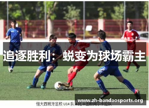 追逐胜利:蜕变为球场霸主 追逐胜利:蜕变为球场霸主