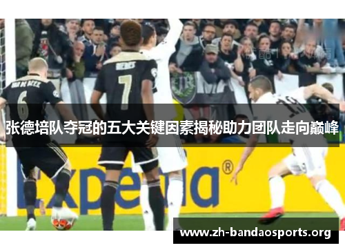 张德培队夺冠的五大关键因素揭秘助力团队走向巅峰